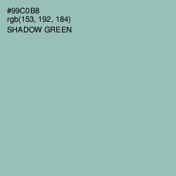 #99C0B8 - Shadow Green Color Image